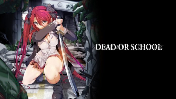 Dead or School sortira sur PlayStation 4 et Switch le 13 mars