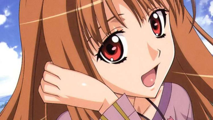 Des fans traduisent intégralement Ōkami to Kōshinryō: Boku to Holo no Ichinen (Spice & Wolf: My Year with Holo) en anglais