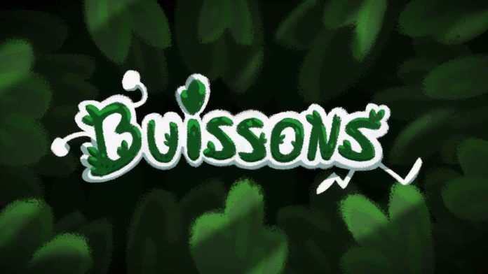 Test de Buissons : Mais où Mizou ?